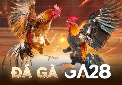 TAP88 Đá Gà GA28